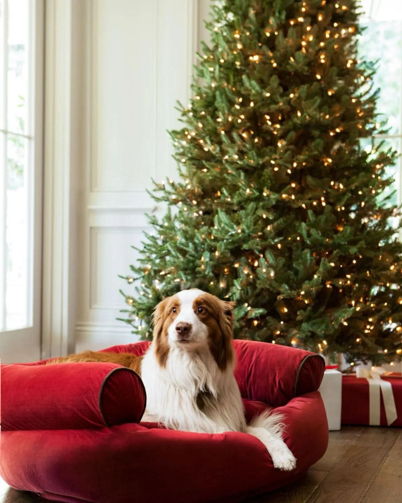 Árbol de Navidad White Spruce Verde con Ramas Articuladas, Base Metálica y Micro LEDs Integrados