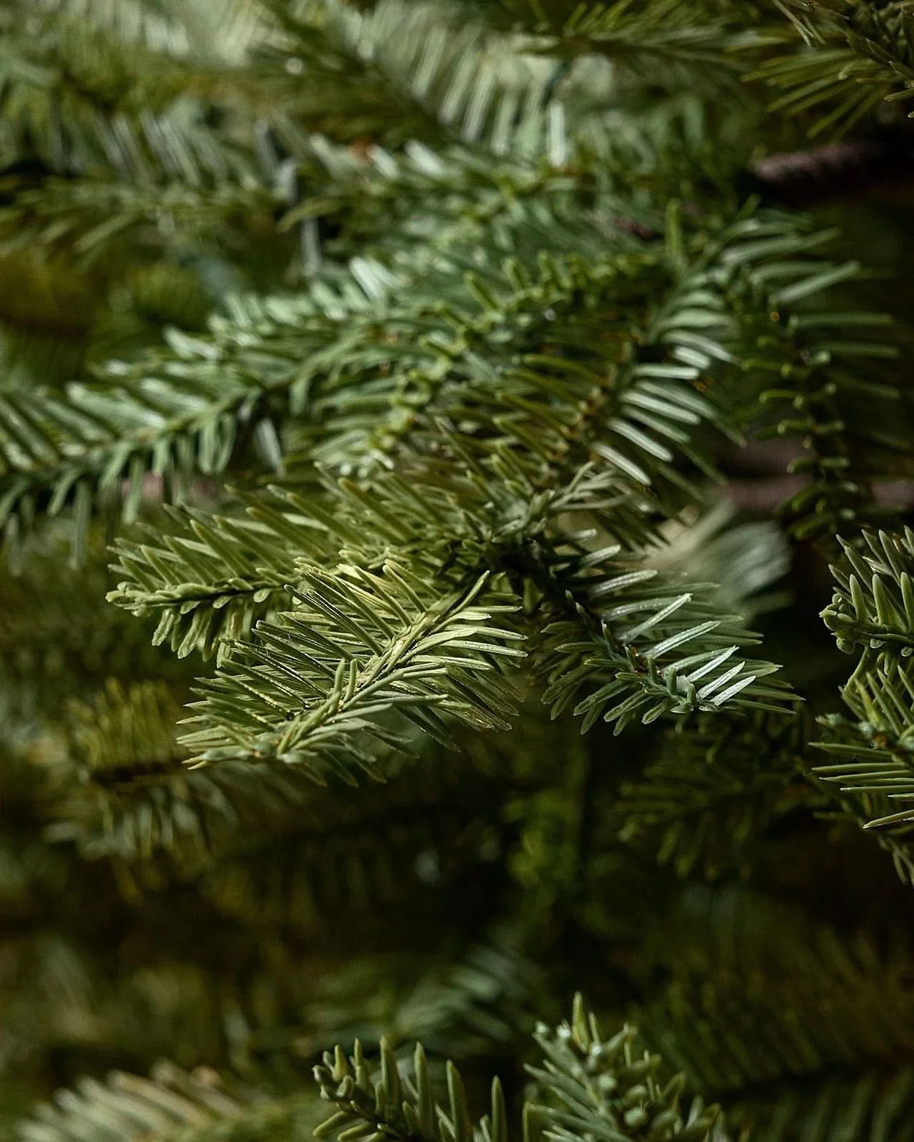 Árbol de Navidad Verde Premium con Ramas Articuladas, Base Metálica y Micro LEDs Integrados
